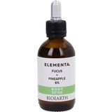 Bioearth ELEMENTA BODY DETOX Kelp + Ananas 6%