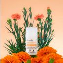 Acorelle Cvetlični deodorant - 50 ml