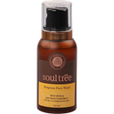 SoulTree Nutgrass Face Wash - 120 ml