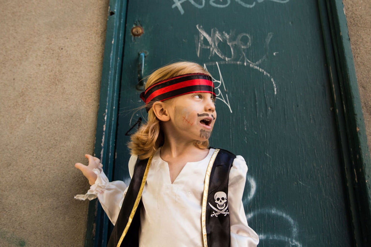 namaki Pirate & Ladybird Face Painting Kit - 1 Set