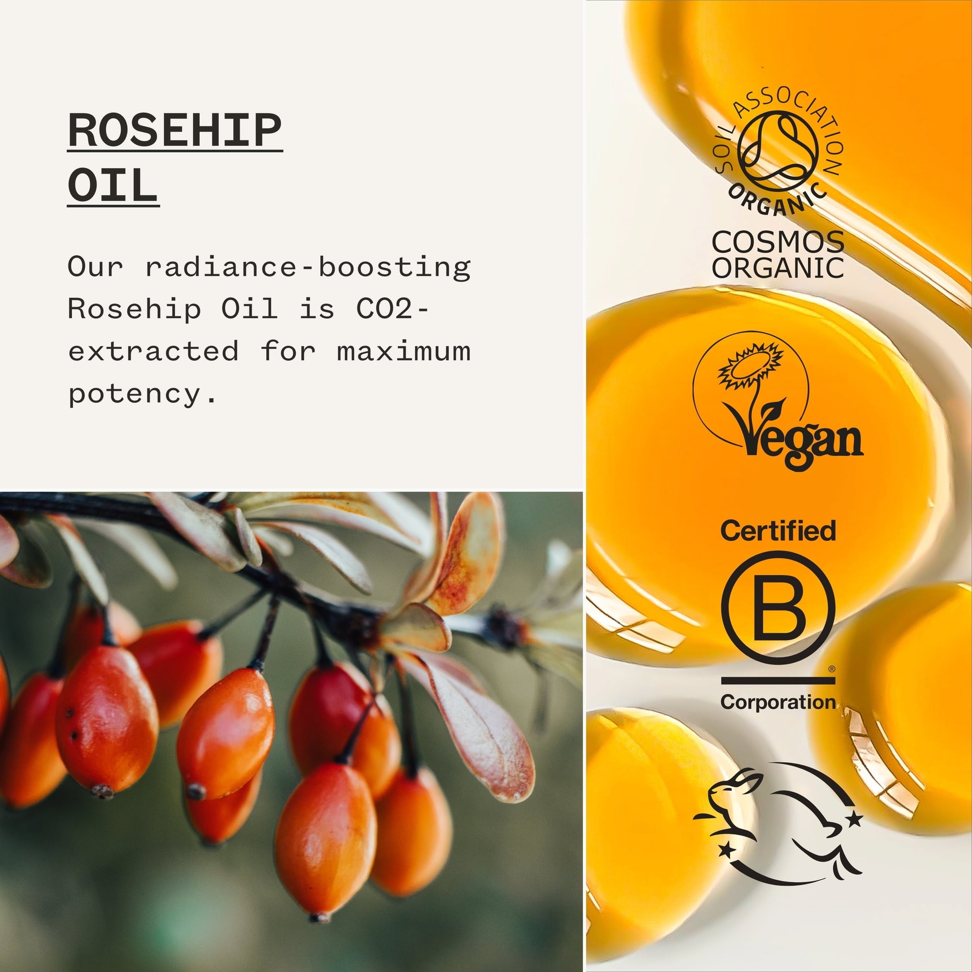 Pai Skincare Rosehip Bioregenerate Universal arcolaj