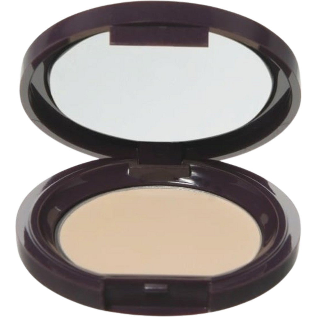 100% Pure Fruit Pigmented Long Last Concealer with Super