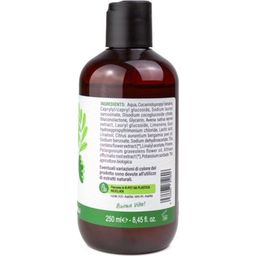 TEA Natura Šampon proti puhastim lase - 250 ml