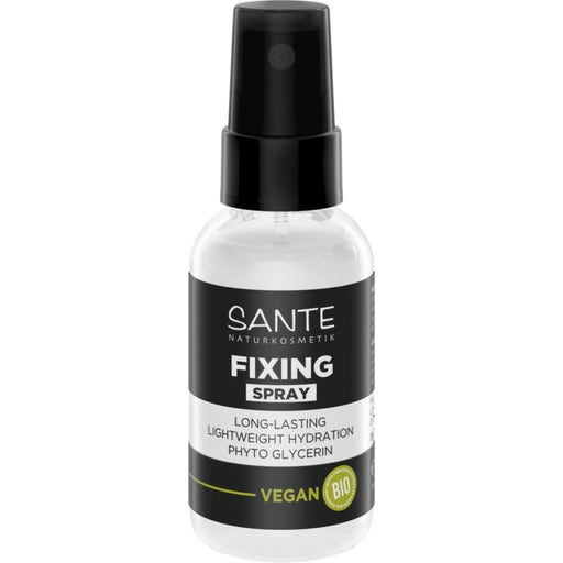 Fixing Spray () Fixing Spray