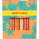 Burt's Bees 