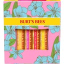 Burt's Bees 