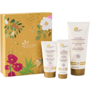 Fleurance nature Gelée Royale Body Care Gift Set - 1 Set