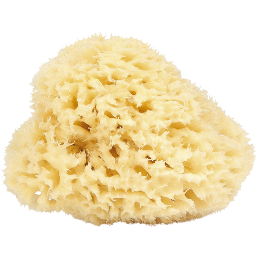 Najel Natural Sponge - 9-10 cm