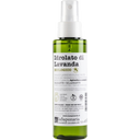 Hydrolat de Lavande Bio - 100 ml