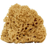 Cose della Natura Honeycomb-naravna spužva
