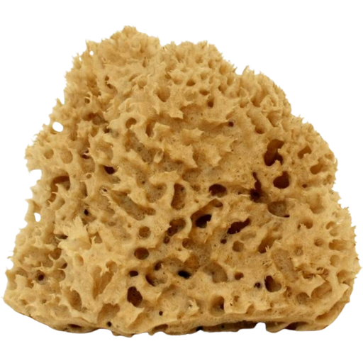 Cose della Natura Esponja Natural Honeycomb - Grande, 12-14 g