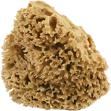 Cose della Natura Washed Honeycomb Sea Sponge