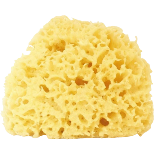 Cose della Natura Blekt honeycomb svamp - 12-14 gr