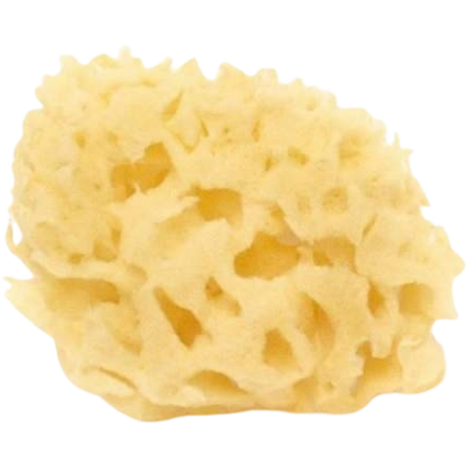Cose della Natura Blekt honeycomb svamp - 4-5 g