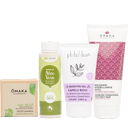EccoVerde Curly Girl Basis Set - 1 Set