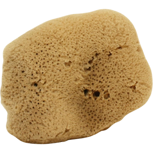 Cose della Natura Seidenschwamm - Groß, 12-14 g