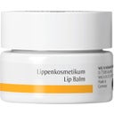 Lippenkosmetikum, 4,50 ml