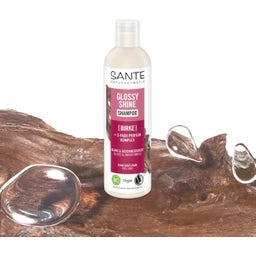 SANTE Glossy Shine šampon - 250 ml