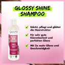 SANTE Glossy Shine Shampoo - 250 ml