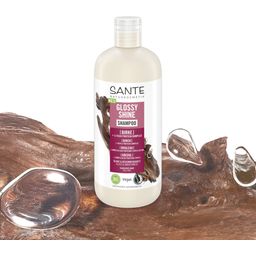 SANTE Naturkosmetik Glossy Shine Shampoo - 500 ml