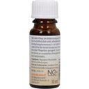 CMD Naturkosmetik Organic Sandorini Sea Buckthorn Pulp Oil - 10 ml