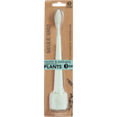 Natural Family CO. Organic Toothbrush & Stand - Rivermint