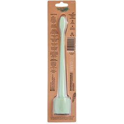 Natural Family CO. Organic Toothbrush & Stand - Rivermint