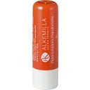 Alkemilla Eco Bio Cosmetic Lippenbalsam - Mandelmilch