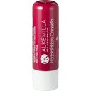 Lip Balm, Cinnamon  (5)