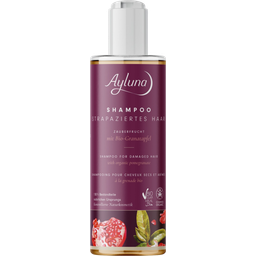 Ayluna Shampoo 