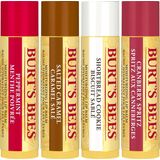 Burt's Bees Lip Balm Multi Pack