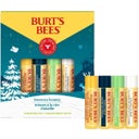 Beeswax Bounty Lip Balm Mix - 17 г
