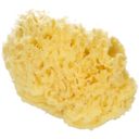 Koutouzis Natural Sea Sponges Natuurlijke Honingraatspons - M