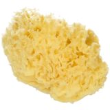 Koutouzis Natural Sea Sponges Luonnonsieni "Honeycomb"