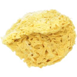 Koutouzis Natural Sea Sponges Spugna Naturale Honeycomb