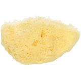 Koutouzis Natural Sea Sponges Natural Silk Sponge