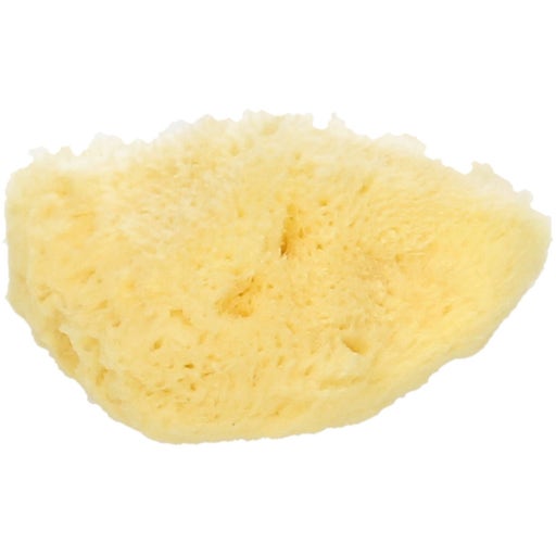Koutouzis Natural Sea Sponges Esponja Natural "seda" - aprox. 7,5 cm