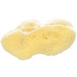 Koutouzis Natural Sea Sponges Natural Silk Sponge