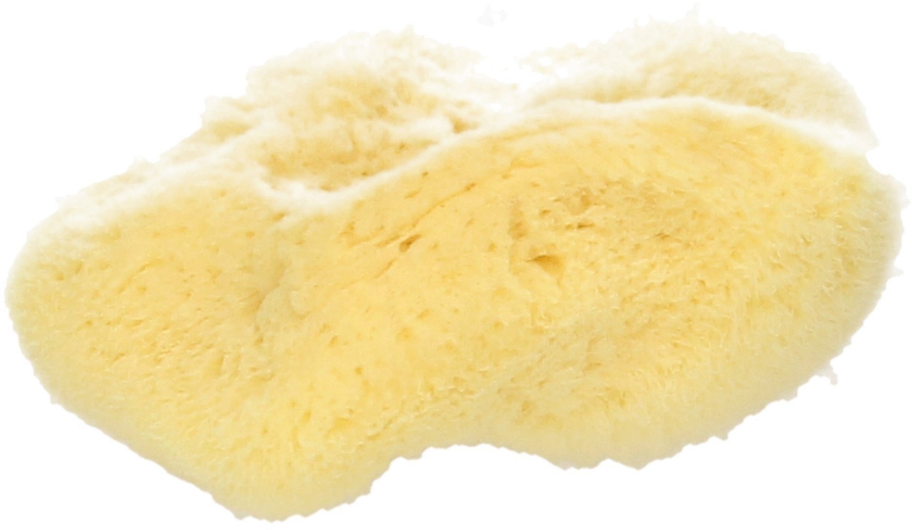 Naturschwamm 