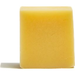 Apeiron Amla Plant Oil Soap - 100 g