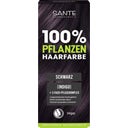 SANTE Naturkosmetik Herbal Hair Color Black - 100 g