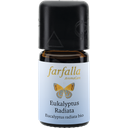 Eukalyptus radiata bio, 5 ml