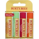 Burt's Bees Freshly Picked Lip Balm Set