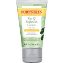 Burt's Bees Res-Q Replenish Cream