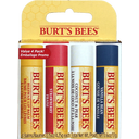 Burt's Bees Bit of Burts Lip Balm Set - 1 set