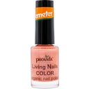 Provida Organics Vernis à Ongles Bio COLOR 