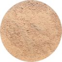 provida organics Earth Minerals Balancing Primer Powder - Medium