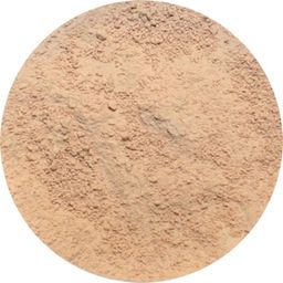 provida organics Earth Minerals Balancing Primer Powder - Medium