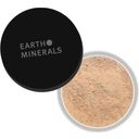 provida organics Earth Minerals Balancing Primer Powder - Medium