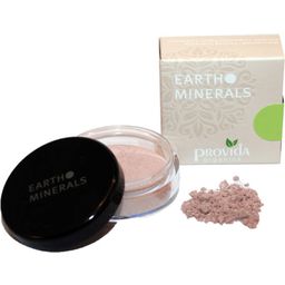 provida organics Earth Minerals Luminous Shimmer Powder